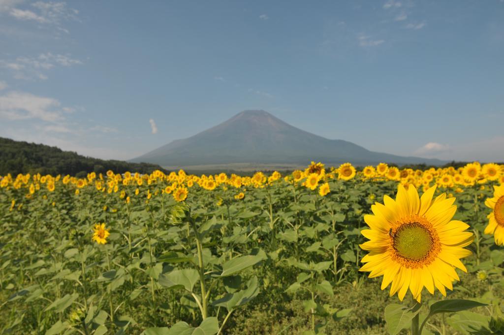 ホテル ヤマナミ 山中湖村 エクステリア 写真